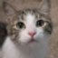 KitKitKit comment